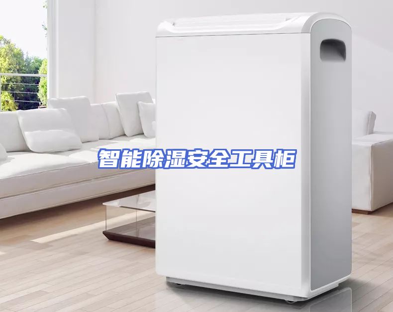 智能除湿安全工具柜