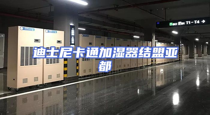 迪士尼卡通加湿器结盟亚都