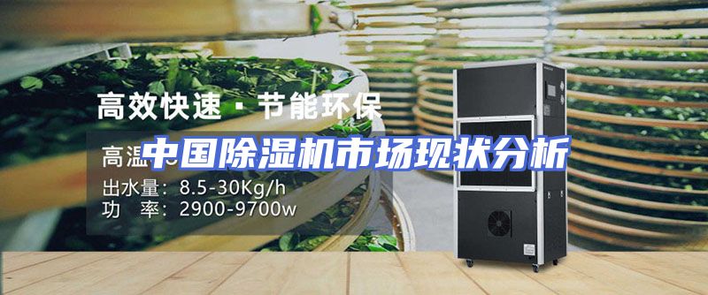 中国除湿机市场现状分析