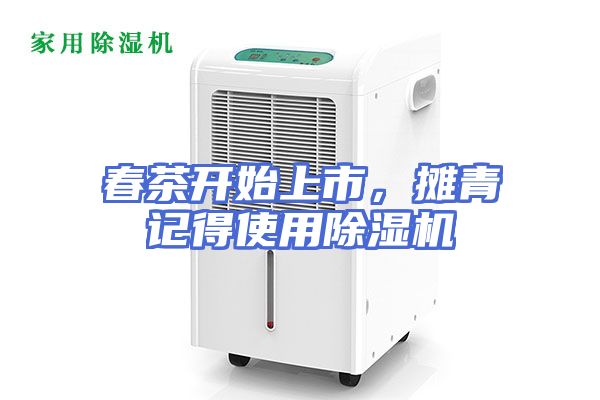 春茶开始上市，摊青记得使用除湿机