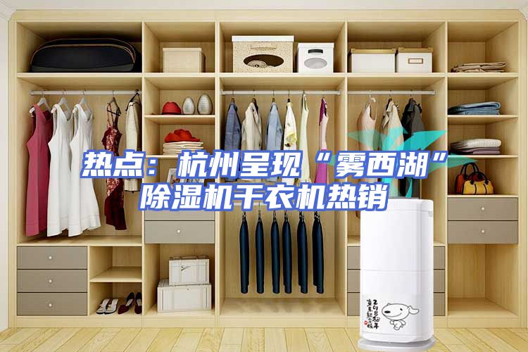 热点：杭州呈现“雾西湖”除湿机干衣机热销