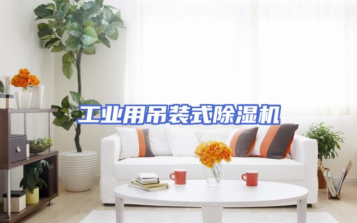 工业用吊装式除湿机