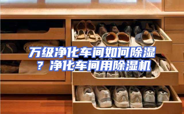 万级净化车间如何除湿？净化车间用除湿机