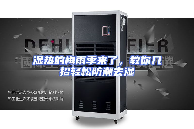 湿热的梅雨季来了，教你几招轻松防潮去湿