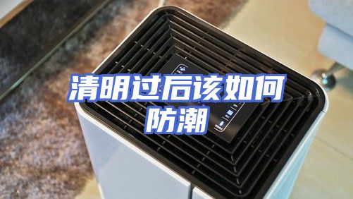 清明过后该如何防潮