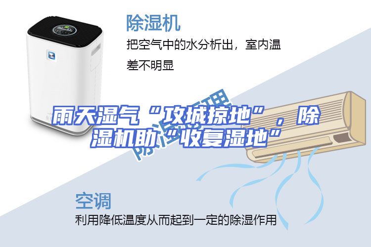 雨天湿气“攻城掠地”，除湿机助“收复湿地”
