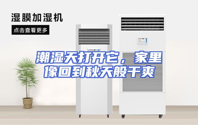 潮湿天打开它，家里像回到秋天般干爽