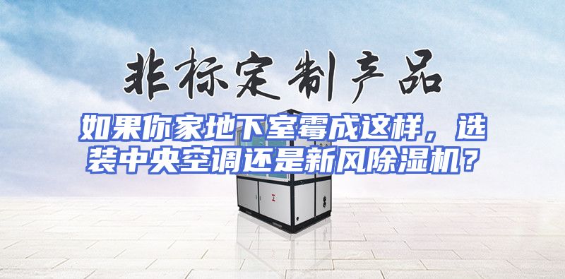 如果你家地下室霉成这样，选装中央空调还是新风除湿机？