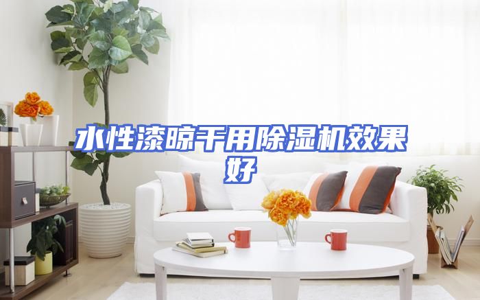 水性漆晾干用除湿机效果好