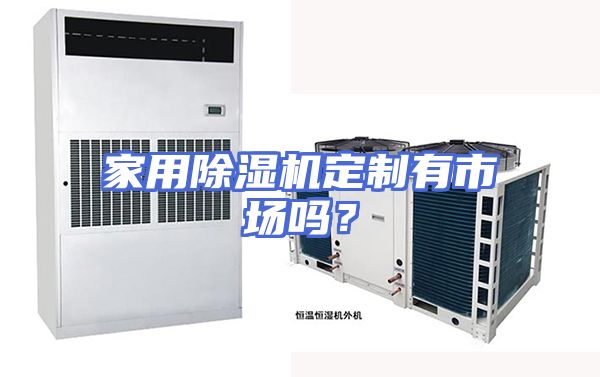 家用除湿机定制有市场吗？