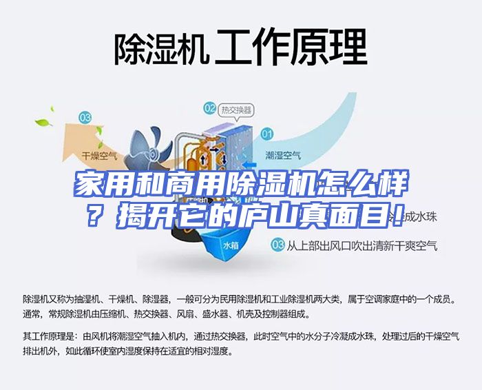家用和商用除湿机怎么样？揭开它的庐山真面目！