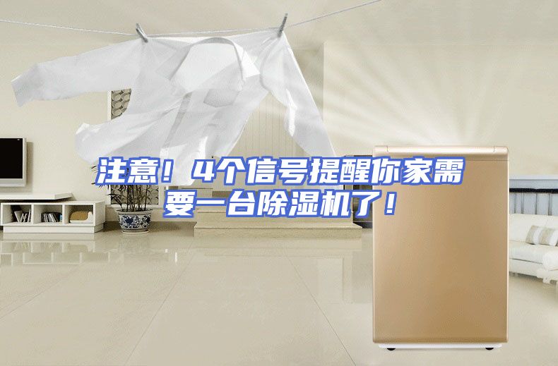 注意！4个信号提醒你家需要一台除湿机了！