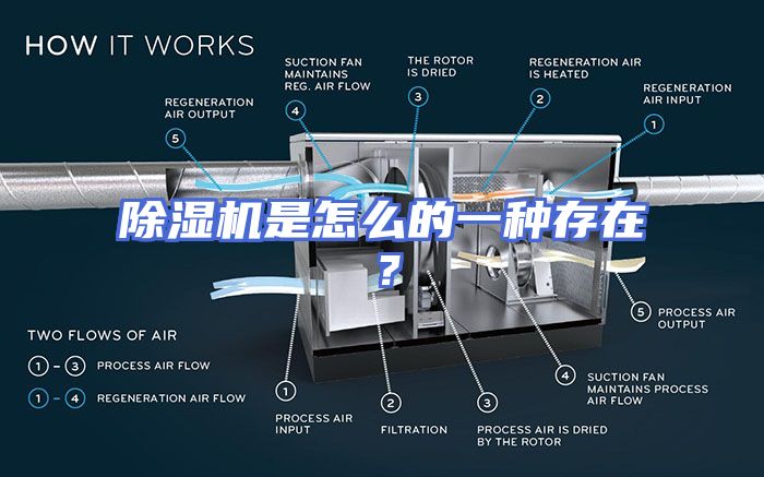 除湿机是怎么的一种存在？