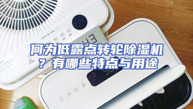 何为低露点转轮除湿机？有哪些特点与用途