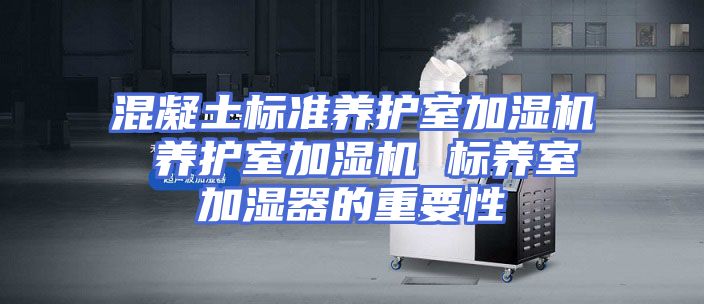混凝土标准养护室加湿机 养护室加湿机 标养室加湿器的重要性