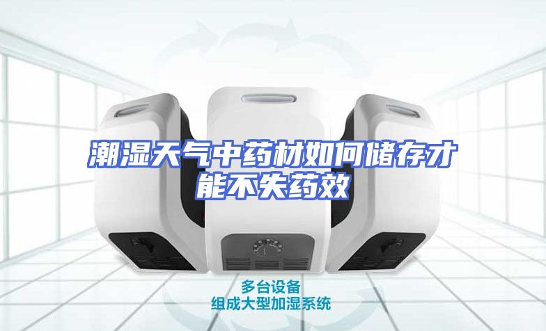 潮湿天气中药材如何储存才能不失药效