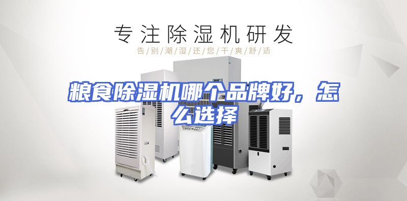 粮食除湿机哪个品牌好，怎么选择