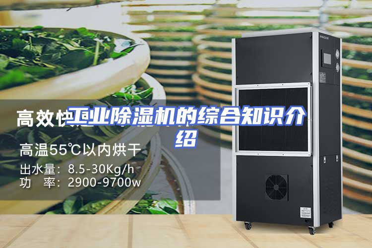 工业除湿机的综合知识介绍