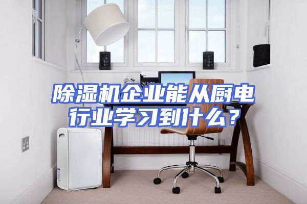 除湿机企业能从厨电行业学习到什么？