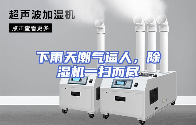 下雨天潮气逼人，除湿机一扫而尽