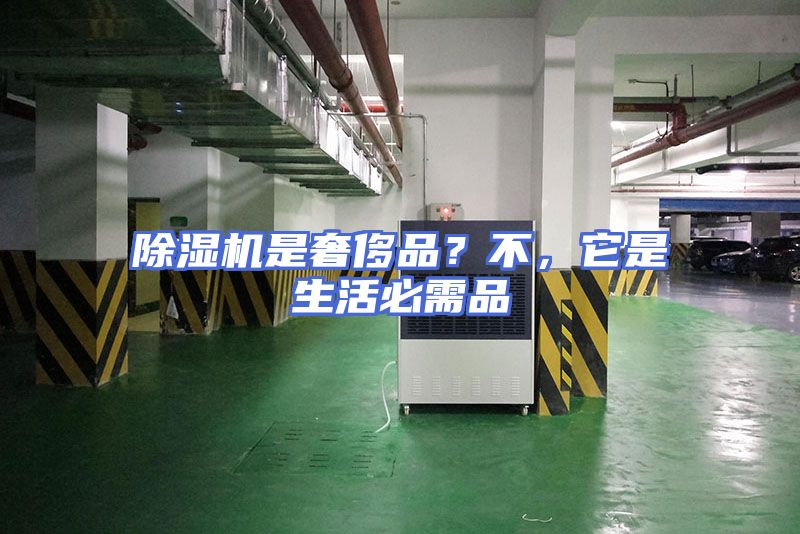 除湿机是奢侈品？不，它是生活必需品