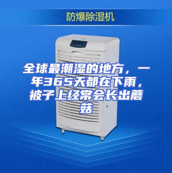 全球最潮湿的地方，一年365天都在下雨，被子上经常会长出蘑菇