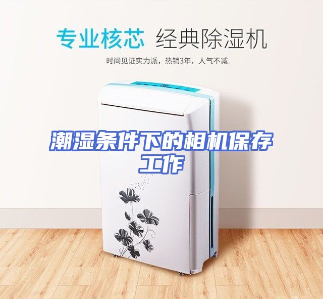 潮湿条件下的相机保存工作