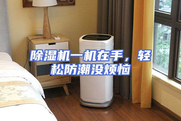 除湿机一机在手，轻松防潮没烦恼