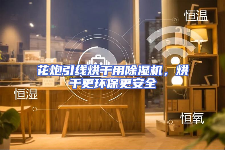 花炮引线烘干用除湿机，烘干更环保更安全