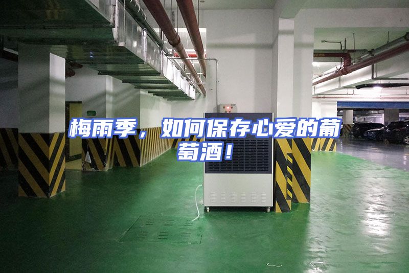 梅雨季，如何保存心爱的葡萄酒！