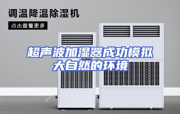 超声波加湿器成功模拟大自然的环境