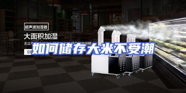 如何储存大米不受潮