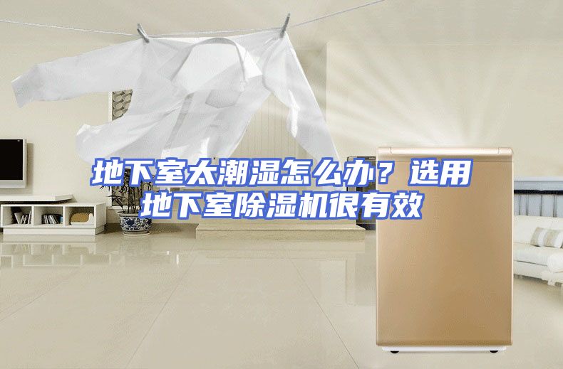地下室太潮湿怎么办？选用地下室除湿机很有效