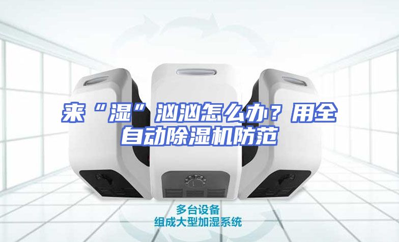 来“湿”汹汹怎么办？用全自动除湿机防范