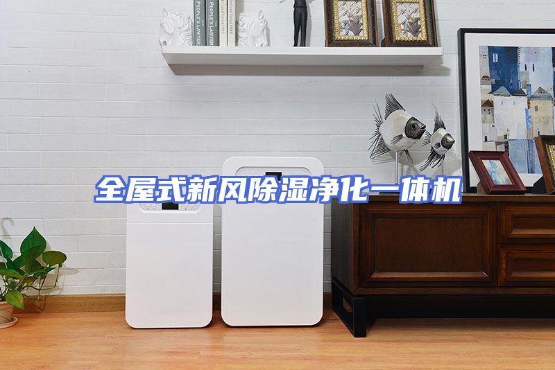 全屋式新风除湿净化一体机