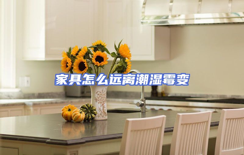 家具怎么远离潮湿霉变