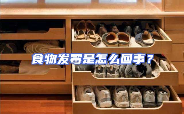 食物发霉是怎么回事？