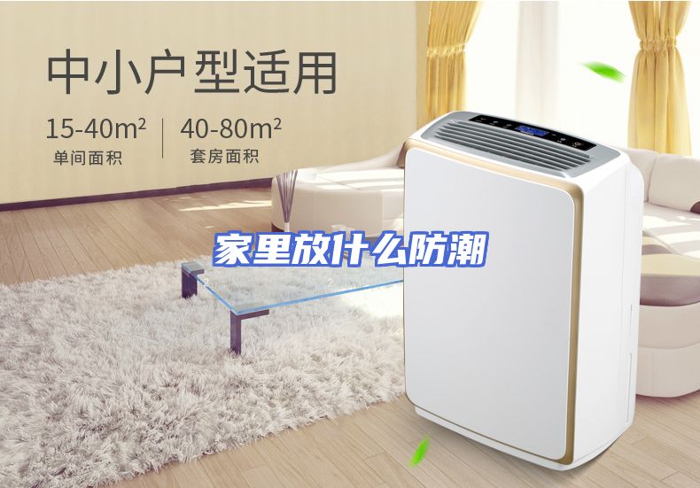 家里放什么防潮