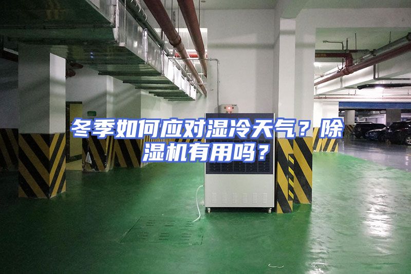 冬季如何应对湿冷天气？除湿机有用吗？