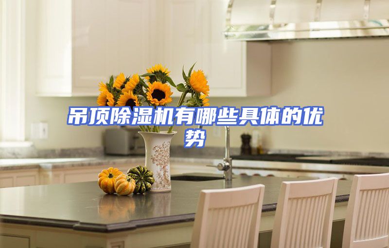 吊顶除湿机有哪些具体的优势