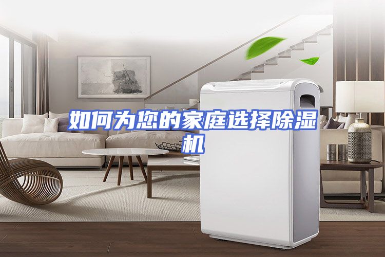 如何为您的家庭选择除湿机