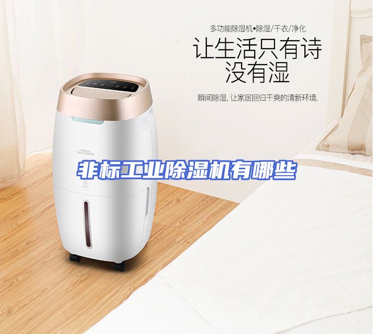 非标工业除湿机有哪些