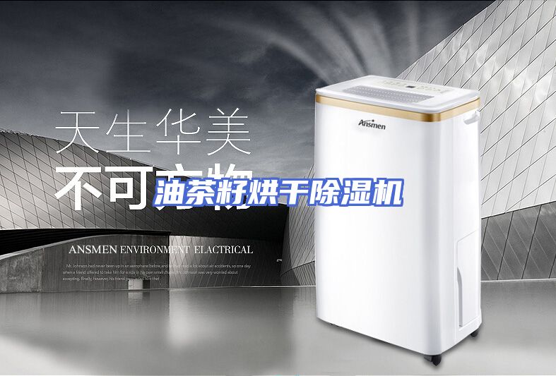 油茶籽烘干除湿机