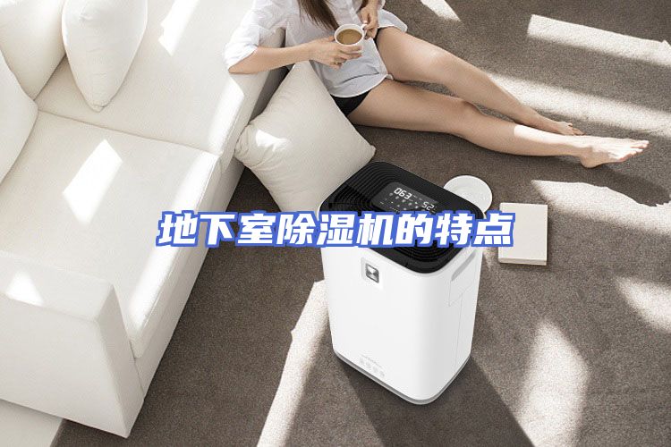 地下室除湿机的特点