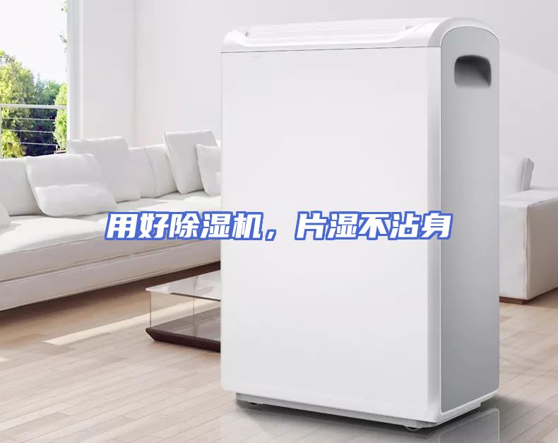 用好除湿机，片湿不沾身