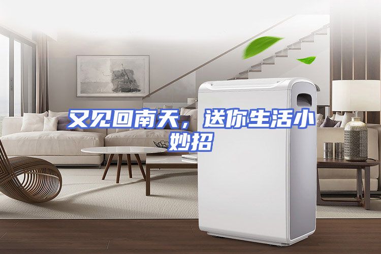 又见回南天,送你生活小妙招