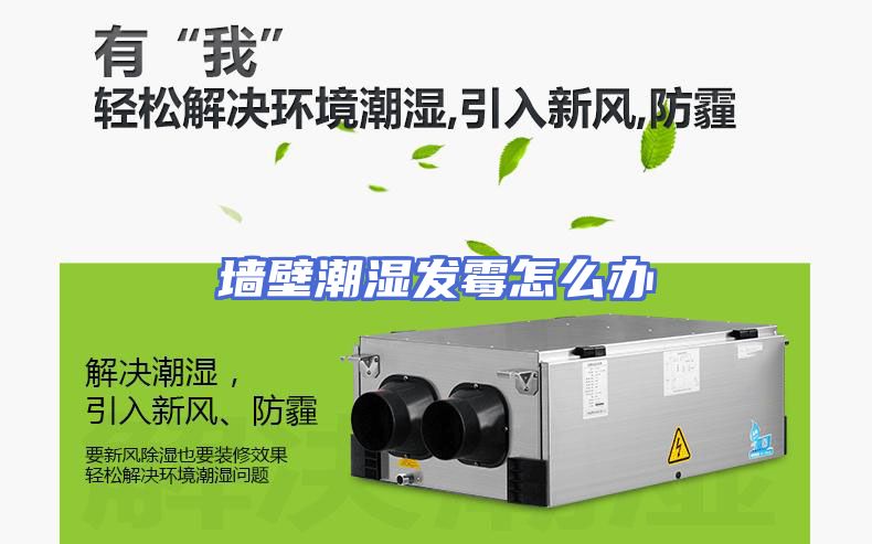 墙壁潮湿发霉怎么办