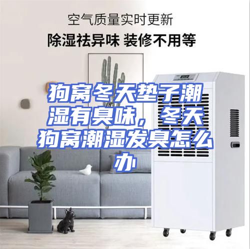 狗窝冬天垫子潮湿有臭味，冬天狗窝潮湿发臭怎么办