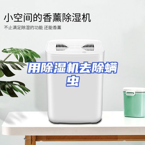 用除湿机去除螨虫