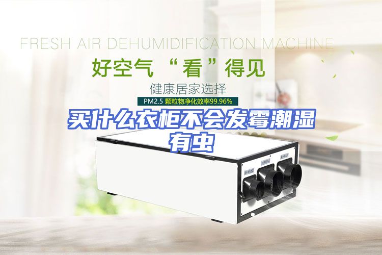买什么衣柜不会发霉潮湿有虫
